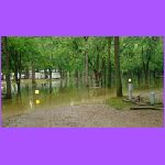 Flooded Buckeye Lake.jpg